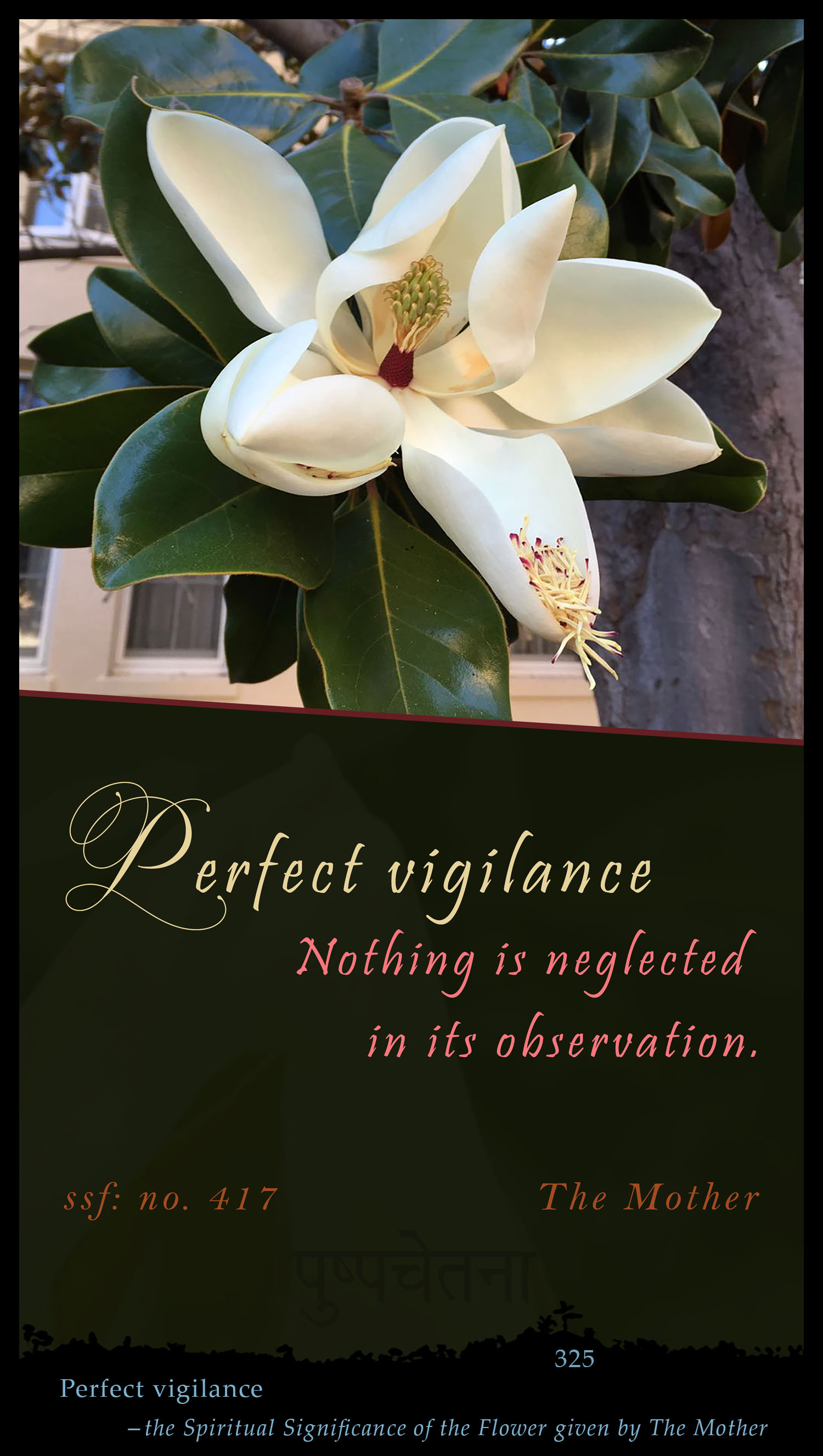 Perfect Vigilance